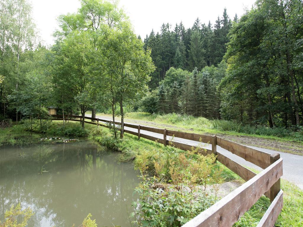 Cozy Apartment In Ore Mountains With Balcony Breitenbrunn  Εξωτερικό φωτογραφία